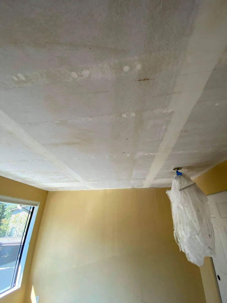 Tukwila Paint and Flooring Solutions by Handyman Rescue Team - Photo 54