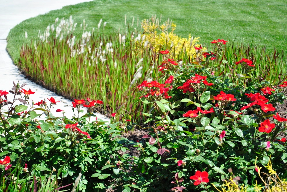 Outdoor Living by Breaking Ground - Photo 30