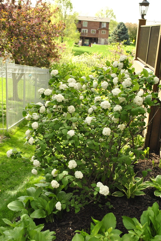 Outdoor Living by Breaking Ground - Photo 41