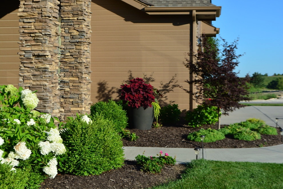 Comfortable Backyard Retreat by Breaking Ground - Photo 19