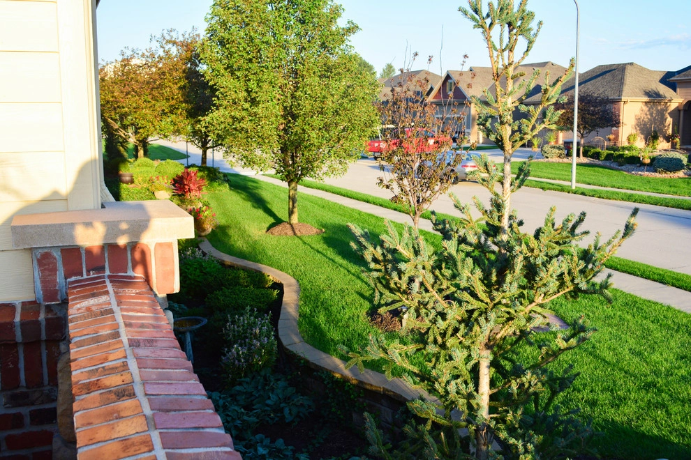 French Country Corner lot Courtyard by Breaking Ground - Photo 23