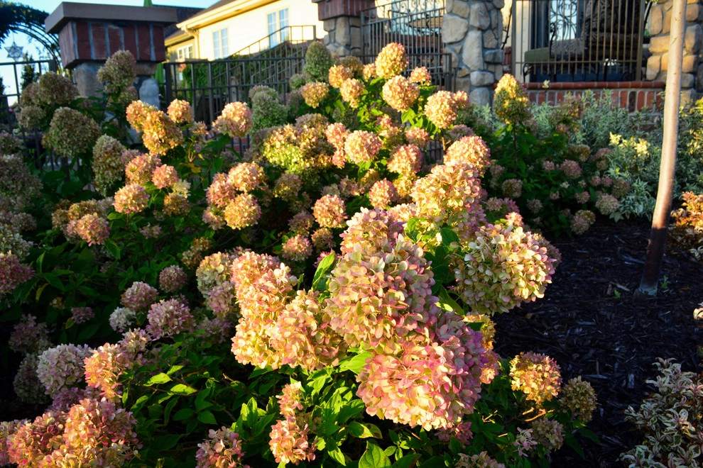 French Country Corner lot Courtyard by Breaking Ground - Photo 79