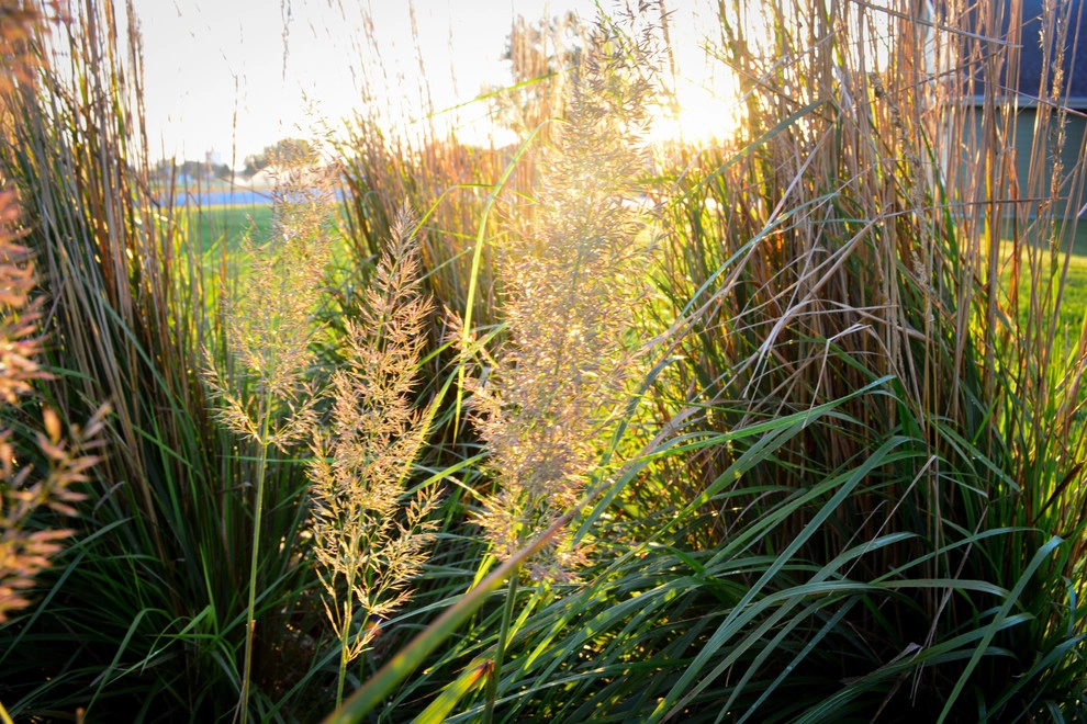 Lakeside Rustic Landscape by Breaking Ground - Photo 12