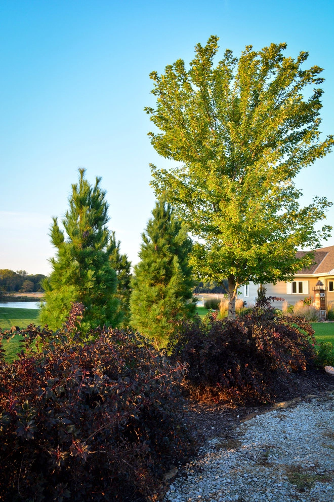 Lakeside Rustic Landscape by Breaking Ground - Photo 13