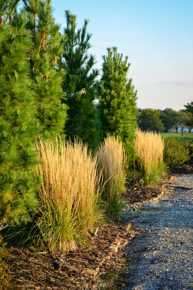 Lakeside Rustic Landscape by Breaking Ground - Photo 14