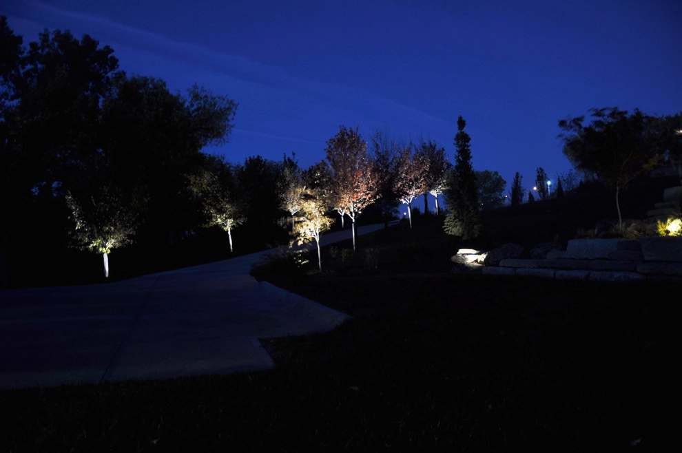 Modern Hillside Entry and Sculpture Garden by Breaking Ground - Photo 62