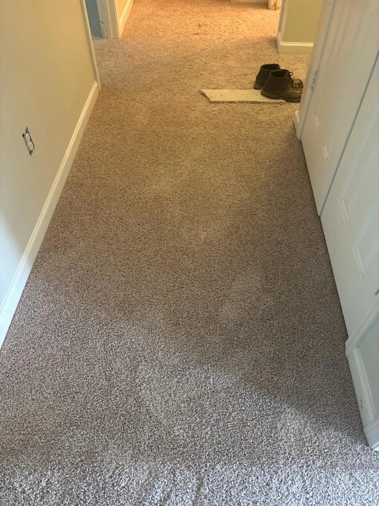 Vinyl Flooring by Moreno Painting & Remodeling Service - Photo 2