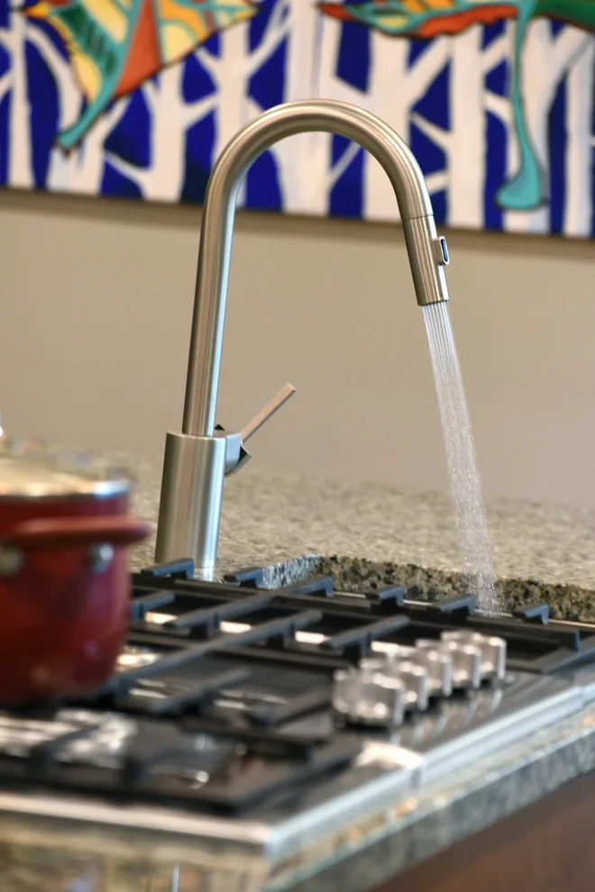 Avian Culinary by Kircher Design & Build - Photo 13
