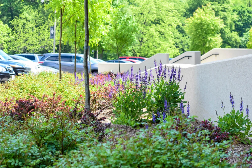 Campus Enhancement by Elevate Outdoor - Photo 5