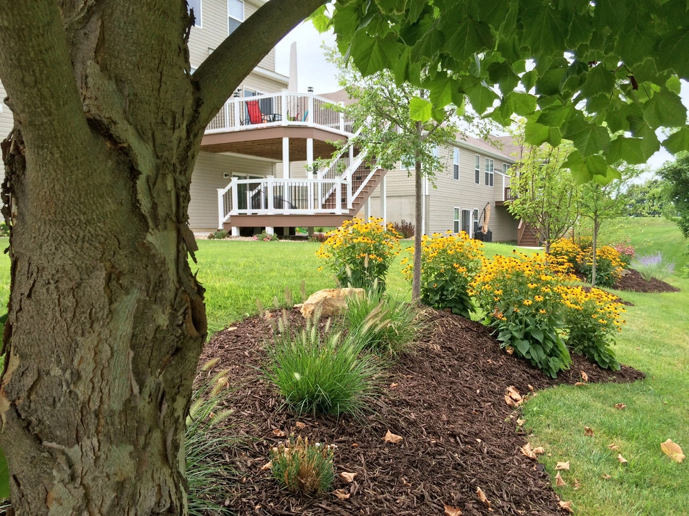 Plantings by Elevate Outdoor - Photo 6