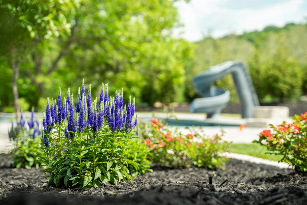 Plantings by Elevate Outdoor - Photo 22