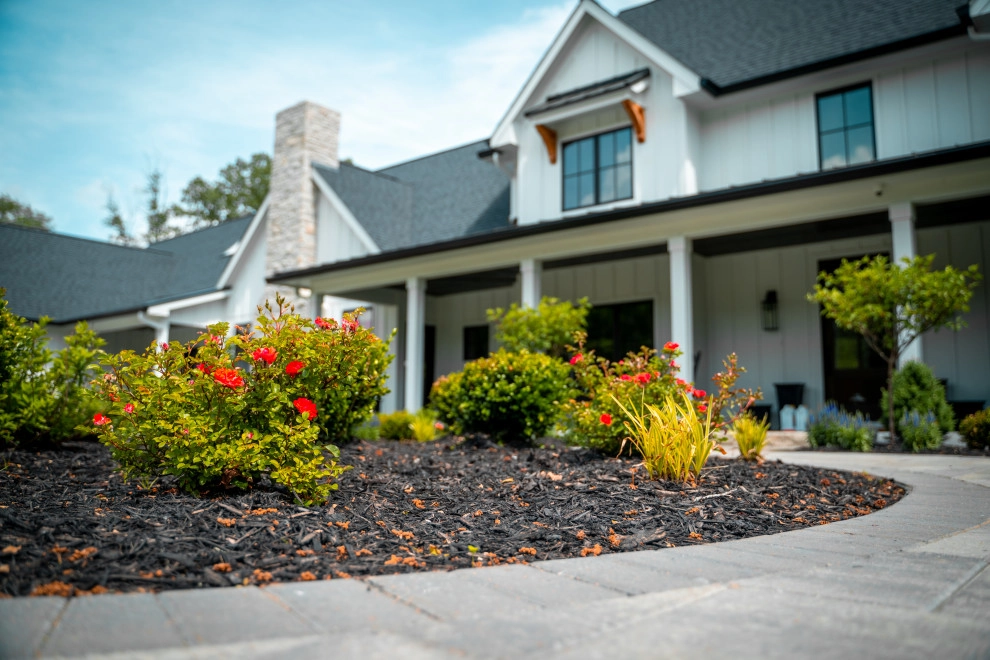Plantings by Elevate Outdoor - Photo 7
