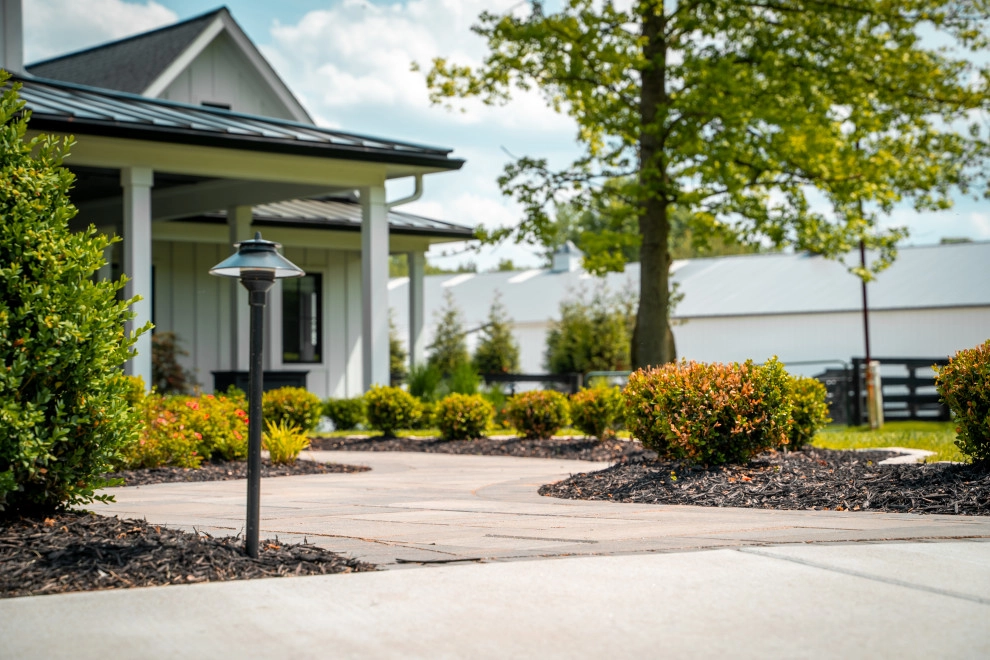 Plantings by Elevate Outdoor - Photo 30
