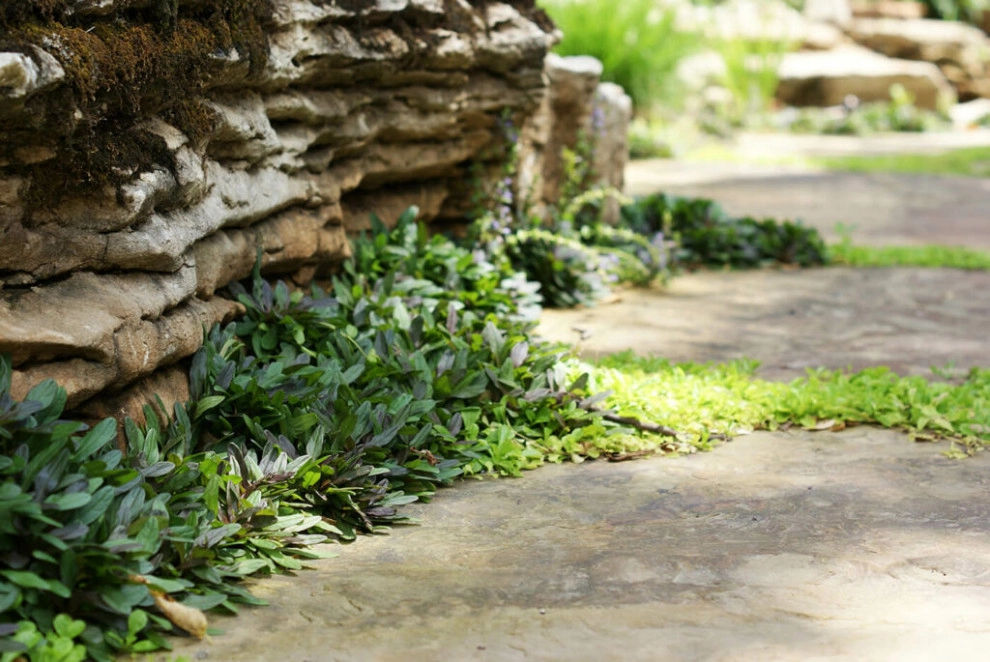 Woodland Waterfalls by Elevate Outdoor - Photo 2