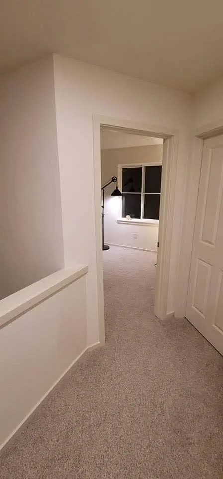 Wall Construction and Door Setup by Handyman Rescue Team - Photo 3