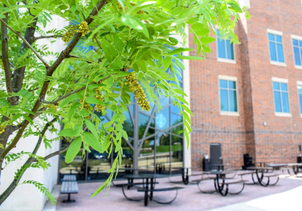 Campus Enhancement by Elevate Outdoor - Photo 2