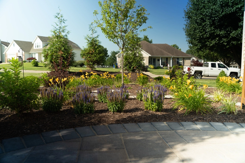 Plantings by Elevate Outdoor - Photo 27