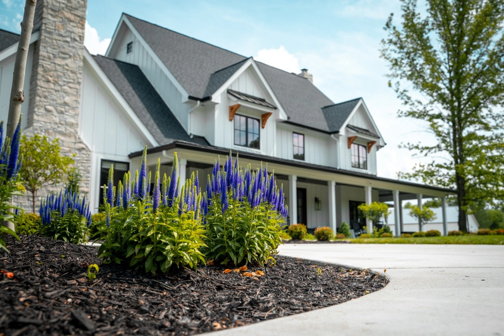 Plantings by Elevate Outdoor - Photo 4