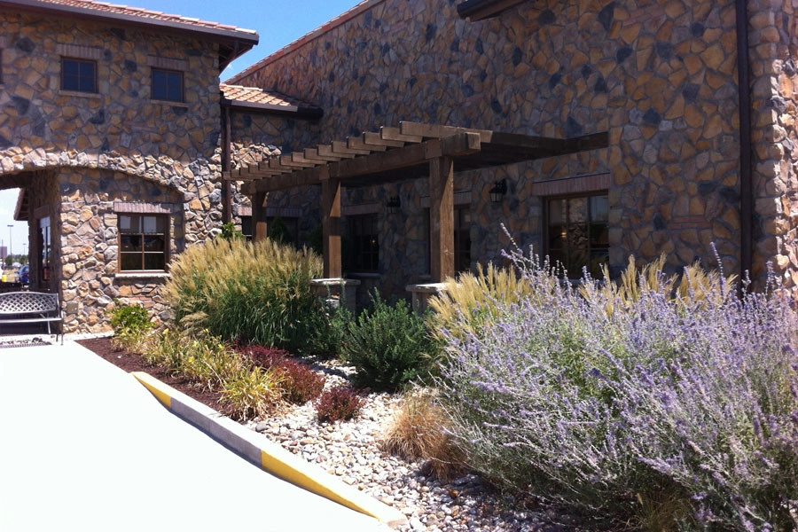 Plantings by Elevate Outdoor - Photo 20