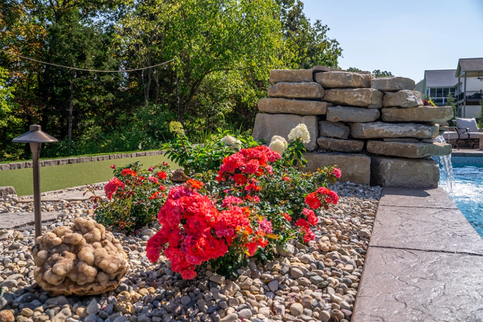 Backyard Bocce and Poolscape by Elevate Outdoor - Photo 7