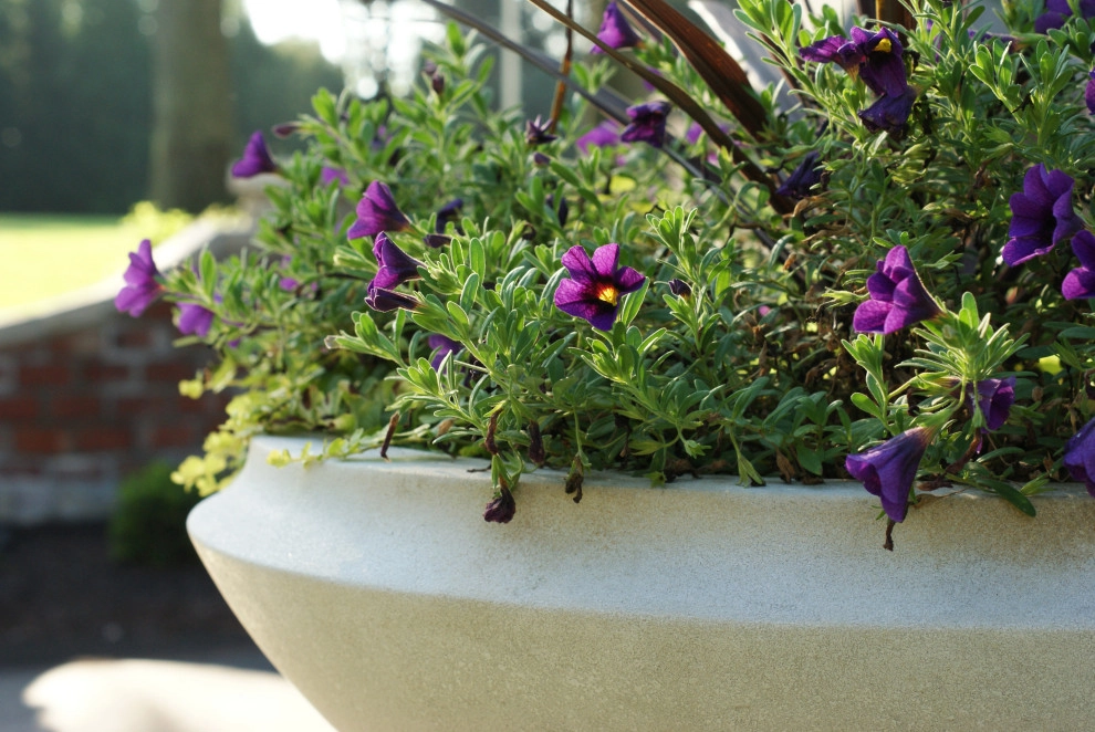 Plantings by Elevate Outdoor - Photo 37