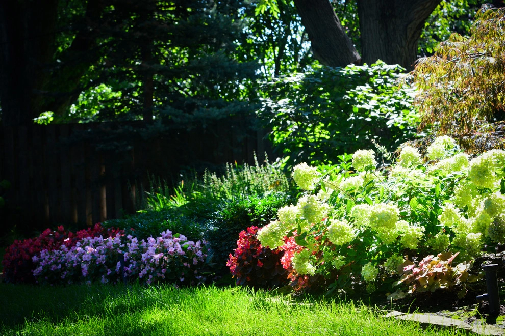 Shady Backyard Retreat by Breaking Ground - Photo 2