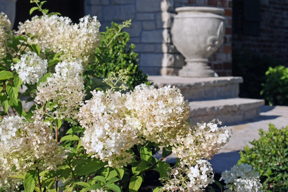 Plantings by Elevate Outdoor - Photo 11