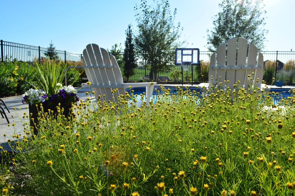 Comfortable Backyard Retreat by Breaking Ground - Photo 30
