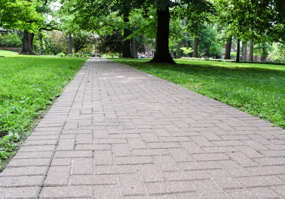 Campus Enhancement by Elevate Outdoor - Photo 6