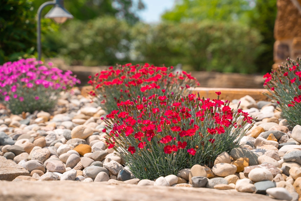 Plantings by Elevate Outdoor - Photo 10