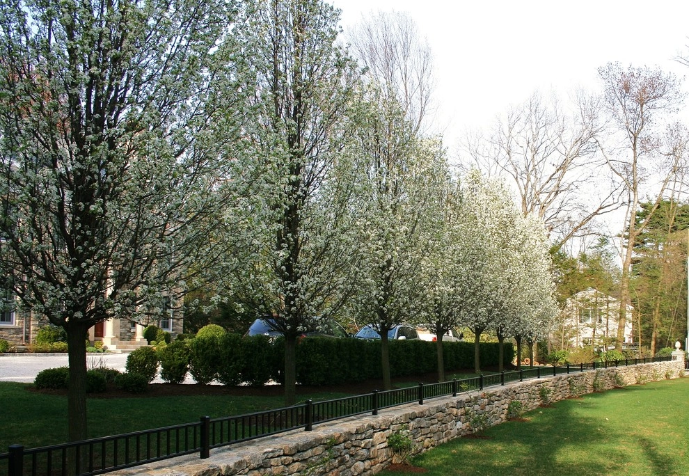 Stone Country Manor - New Canaan,CT by Elise Landscapes & Nursery, LLC - Photo 4