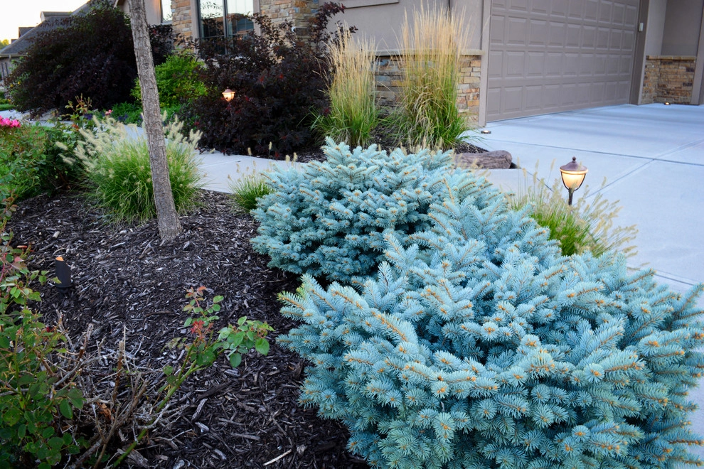 Rustic Silver Leaf Estate by Breaking Ground - Photo 6