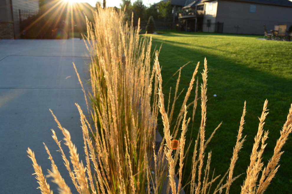 Rustic Silver Leaf Estate by Breaking Ground - Photo 17