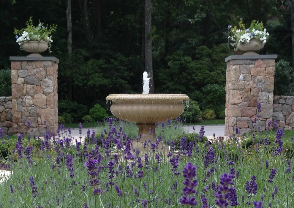Water Elements by Elise Landscapes & Nursery, LLC - Photo 6
