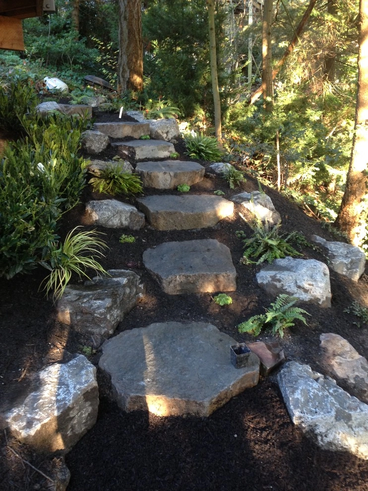 Bellevue Backyard Remodel by Elite Horticulture Services - Photo 3