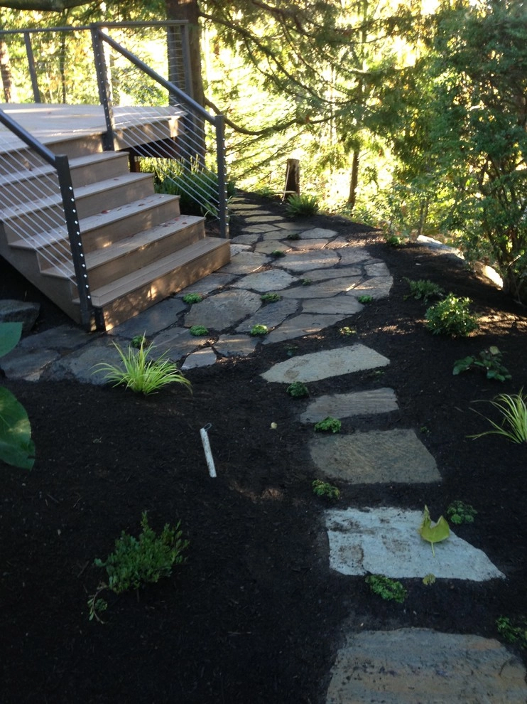 Bellevue Backyard Remodel by Elite Horticulture Services - Photo 4
