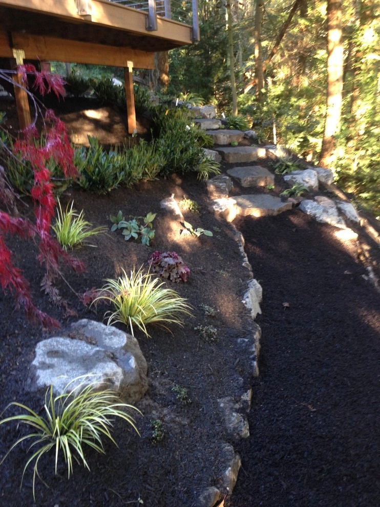 Bellevue Backyard Remodel by Elite Horticulture Services - Photo 5