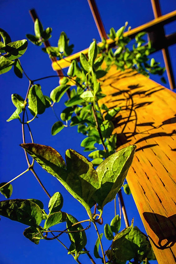 Elite Horticulture Services - Photo 12