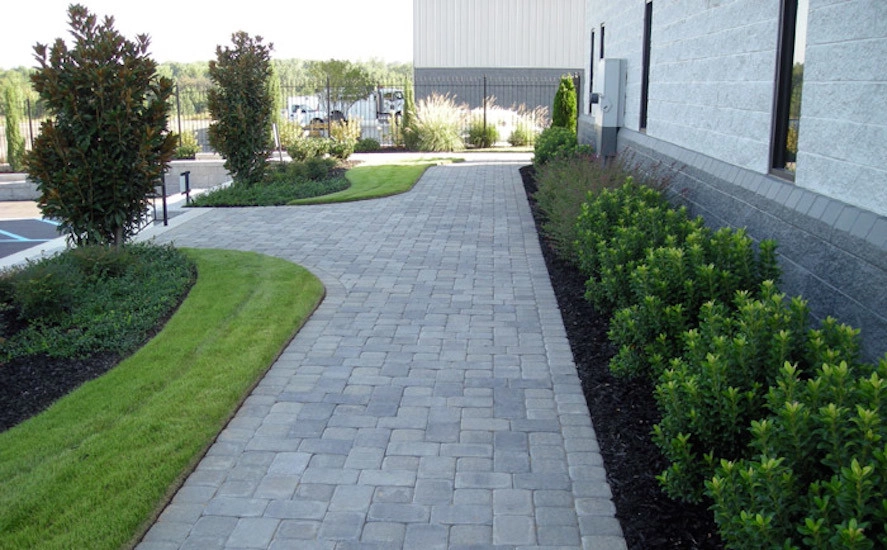 Envirocare Landscape Management, Inc. - Photo 7