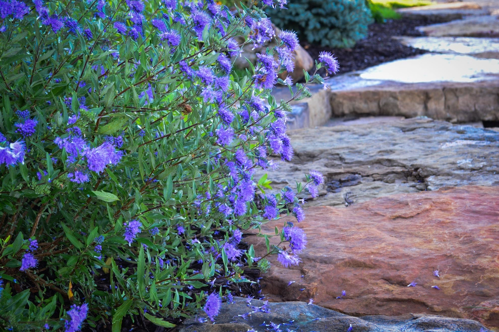 Lakeside Entertainment Space and Water Feature by Breaking Ground - Photo 18