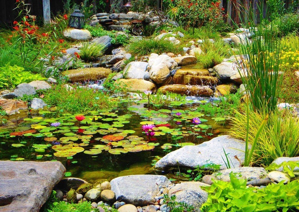 Water Garden by EnviroscapeLA - Photo 12