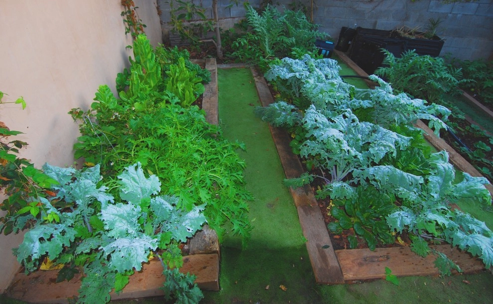 Organic Gardens by EnviroscapeLA - Photo 2