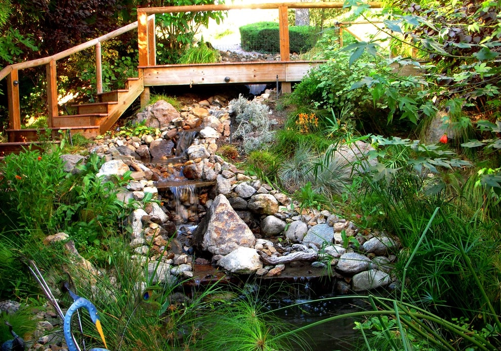 Water Garden by EnviroscapeLA - Photo 10