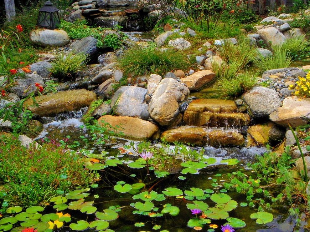 Water Garden by EnviroscapeLA - Photo 7