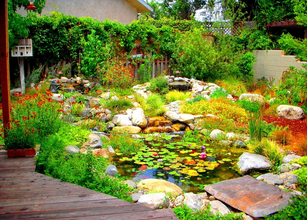 Water Garden by EnviroscapeLA - Photo 5