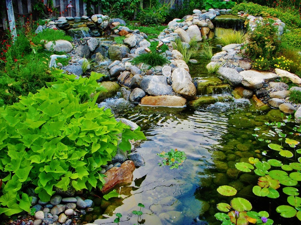 Water Garden by EnviroscapeLA - Photo 13