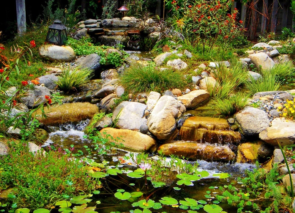 Water Garden by EnviroscapeLA - Photo 8