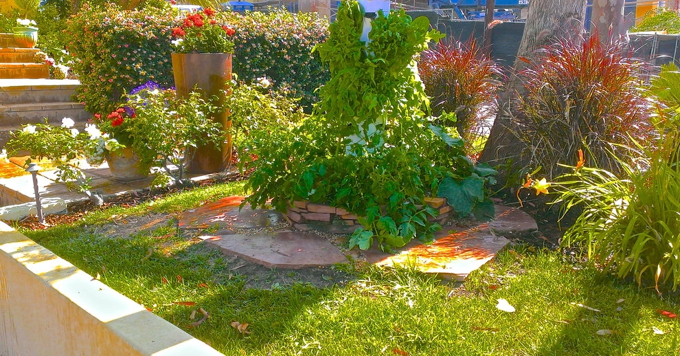 Aeroponic Gardens by EnviroscapeLA - Photo 2