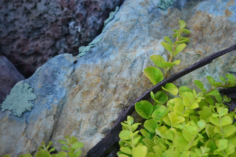 Rustic Mountain Stream into Lakeside Patio by Breaking Ground - Photo 5