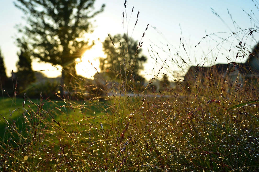 Lakeside Rustic Landscape by Breaking Ground - Photo 7
